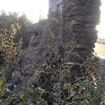 Casa Cuore Di Leone 3*
